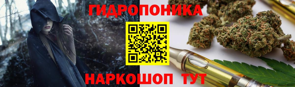 Звенигород  Бошки марихуана AK-47  Конопля Amnesia  Марихуана план  Вход с VPN 